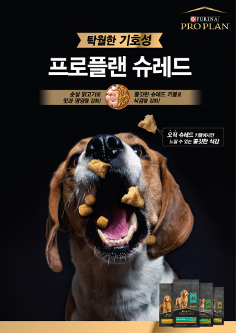 네슬레 퓨리나 신제품 ‘프로플랜 슈레드’