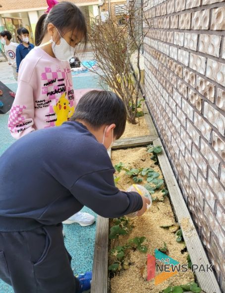용인 함박초병설유치원, '숲과 함께하는 겨울나기 놀이' 실시