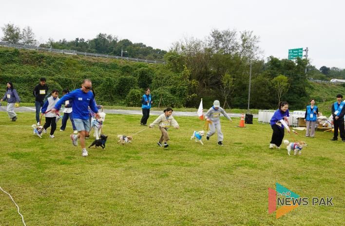 반려마루화성 홈커밍데이 (2) 경기사진