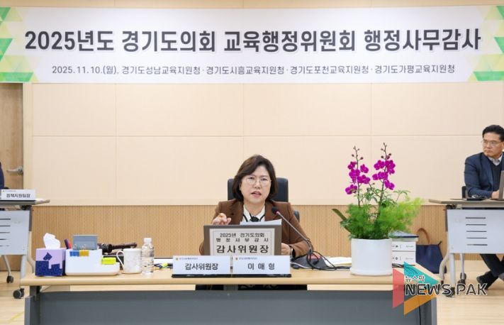 경기도의회 이애형 의원