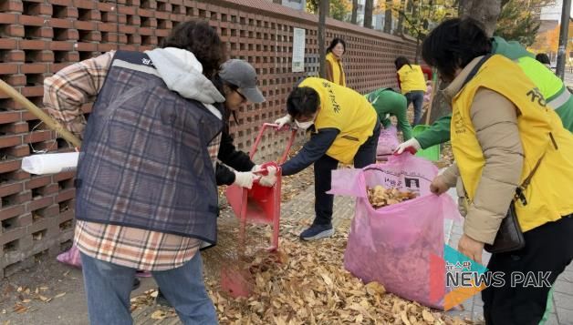 수원시 장안구 정자1동, 가을맞이 낙엽 대청소 실시