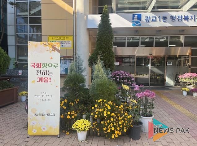 국화향으로 전하는 가을, 수원시 영통구 광교1동에서 국화분재 전시 열려