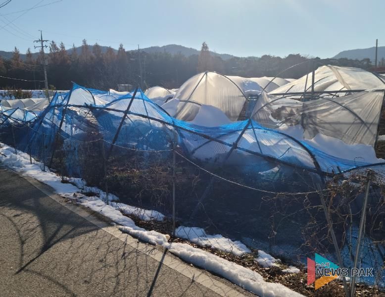 안성시, 올겨울 대설 대비, 차광·방조망 정리로 피해 예방하세요
