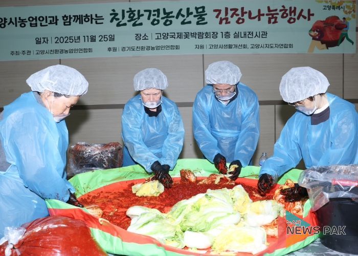 이동환 고양시장이 고양시 농업인 새벽시장 호수장터 협의회가 주최한 ‘사랑의 김장나눔'에 참여해 김장김치를 담그고 있다.