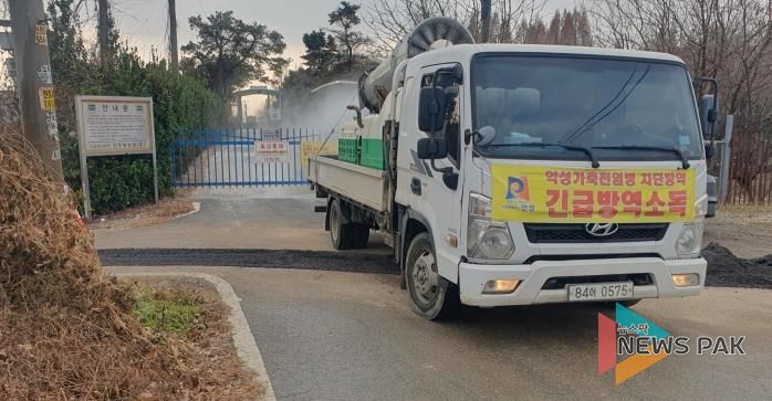 안성시 산란계농장 고병원성AI 의심축 발생