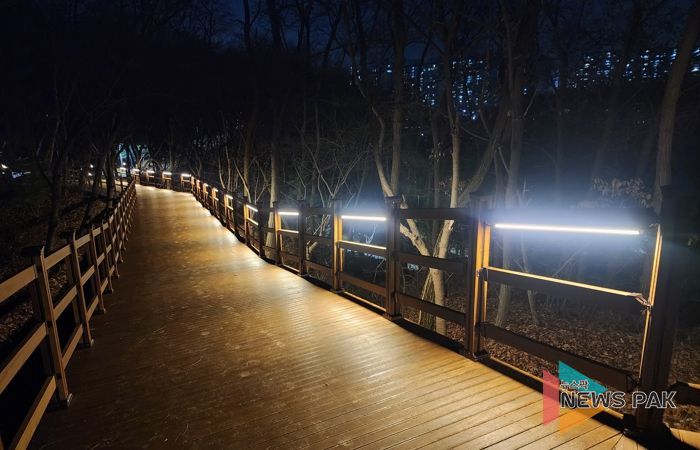 용인특례시가 수지구 상현동 서봉숲속 근린공원에 조성한 '서봉숲길'