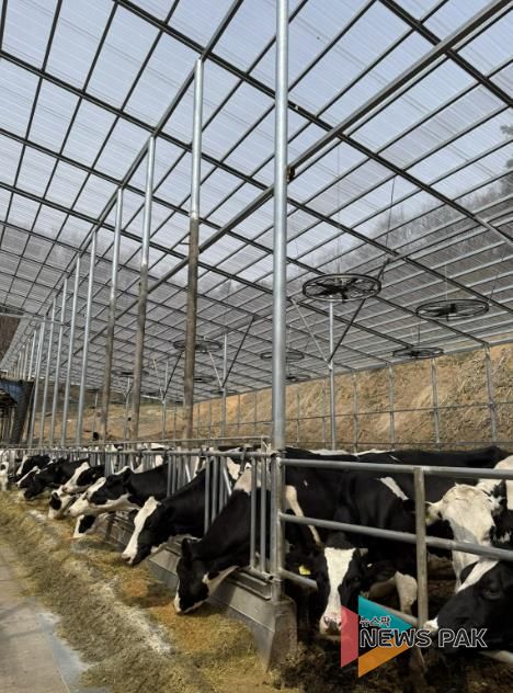 용인트례시가 '2026년 축산분야 생산지원사업' 희망 농가를 모집한다