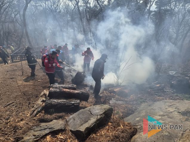 수원 팔달산 산불 진화(산림재난대응단 진화사진)