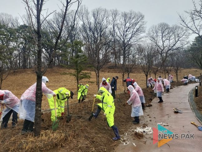 나무심기행사 사진
