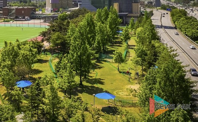 현재 운영 중인 수지구 용인아르피아 파크골프장 전경