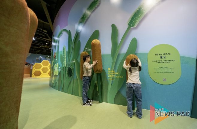 경기북부어린이박물관, 개관 10주년 맞아 상설전시 《자연숲, 작아져야 보이는 세계》 새롭게 선보여