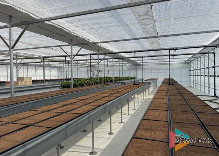 고양시, 고품질 선인장 육성 목적 ‘접목선인장 무병종묘장’ 조성